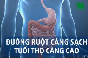 Làm sạch đường ruột