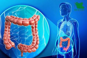 Lựa chọn đúng loại men tiêu hóa phù hợp với con