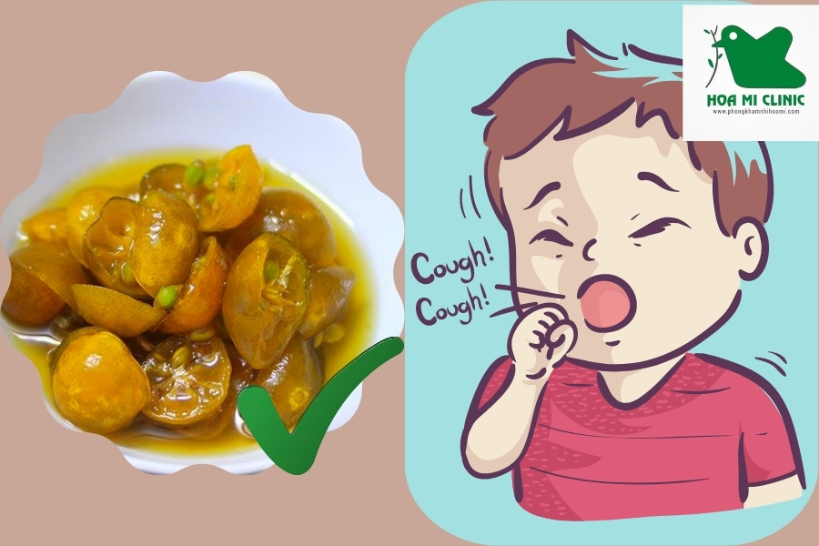 Chưng quất với đường phèn để trị ho đờm