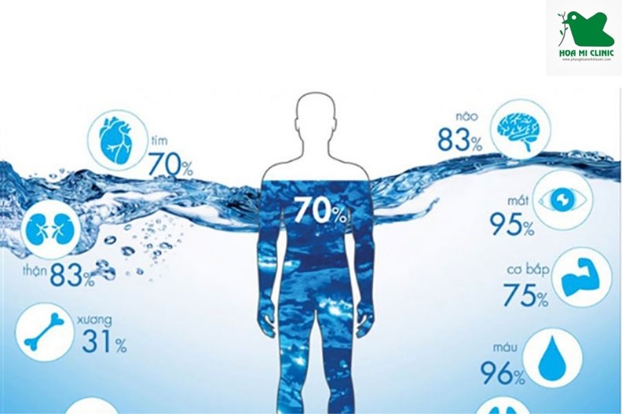 Nước cũng là một trong các chất thiết yếu của cơ thể