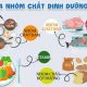 các dưỡng chất cần thiết cho cơ thể
