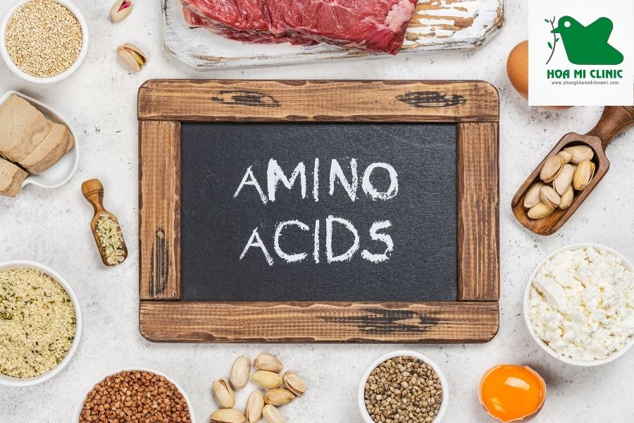 Axit amin cấu tạo nên protein