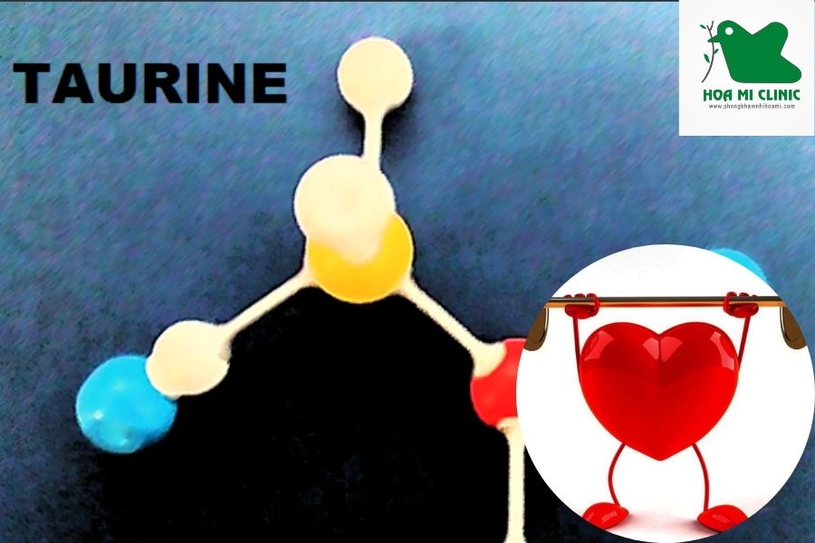 Taurine có tác dụng gì: Tăng cường sức khỏe tim mạch
