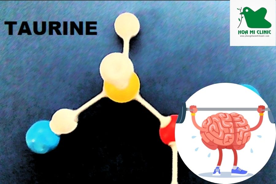 Taurine có tác dụng gì: giúp tăng cường sức khỏe não bộ