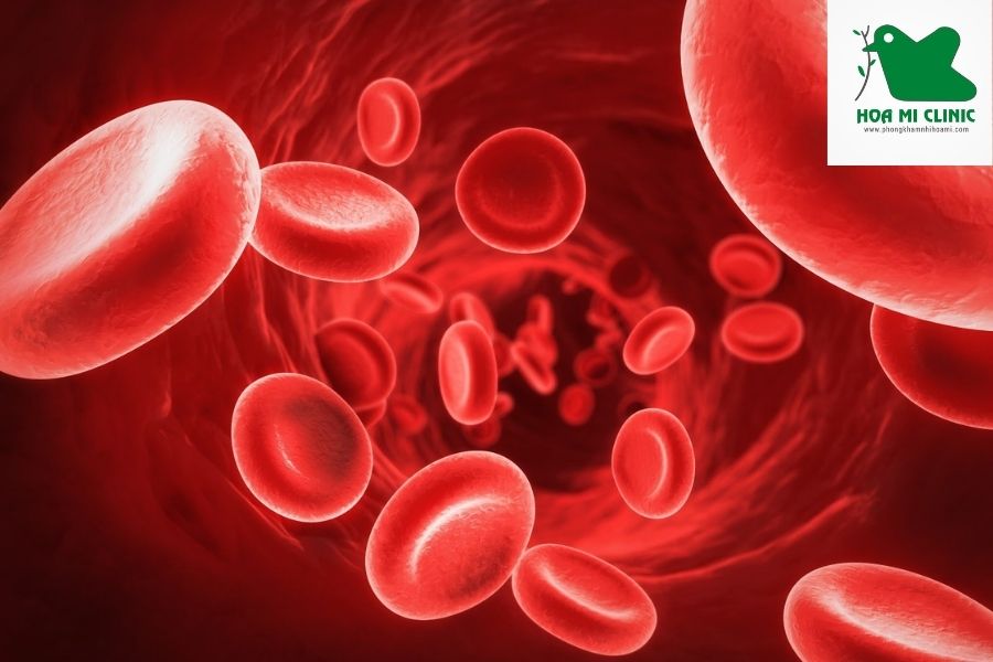 Vai trò của protein đối với cơ thể: Cân bằng chất lỏng trong cơ thể trẻ