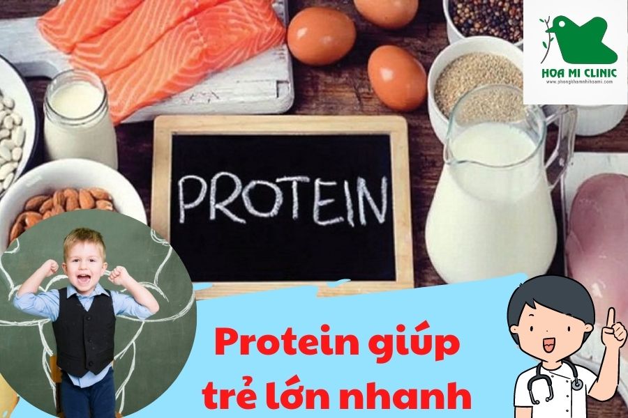 Vai trò của protein đối với cơ thể: Tăng cường sức khỏe cho bé