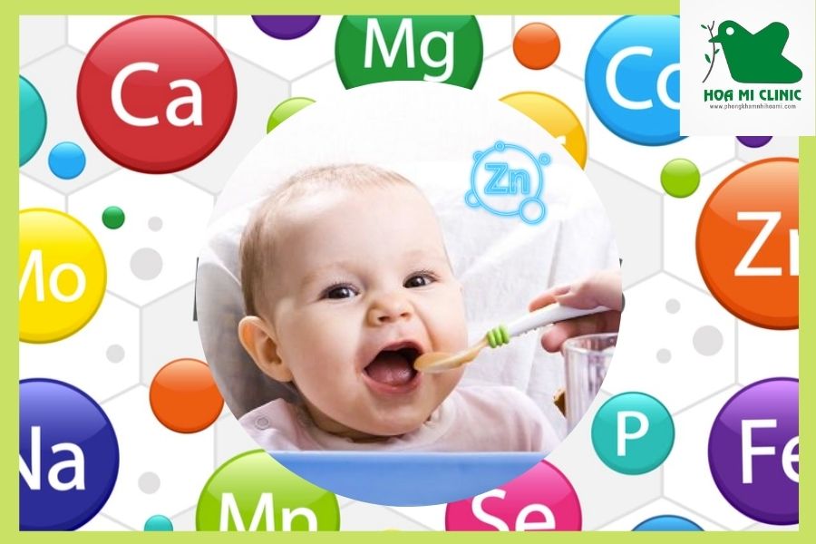 Kẽm hỗ trợ hấp thu các dưỡng chất khác