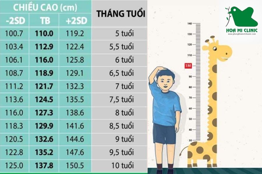 Bảnh chiều cao chuẩn bé trai từ 4 đến 10 tuổi