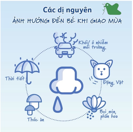 Các nguyên nhân gây dị ứng.