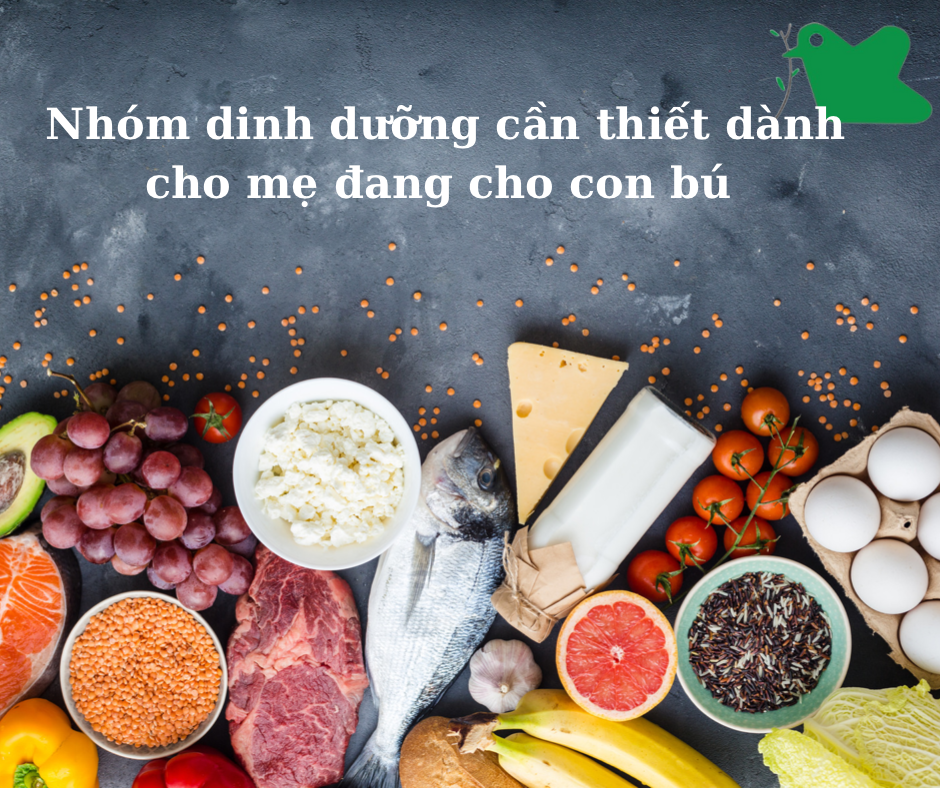 Nhóm chất cần thiết trong dinh dưỡng để mẹ đủ sữa, sữa tốt cho con bú