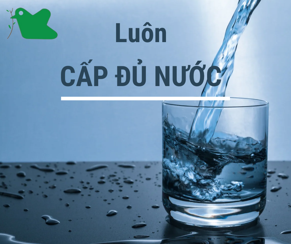 Mẹ nhớ luôn cung cấp đủ nước cho cơ thể