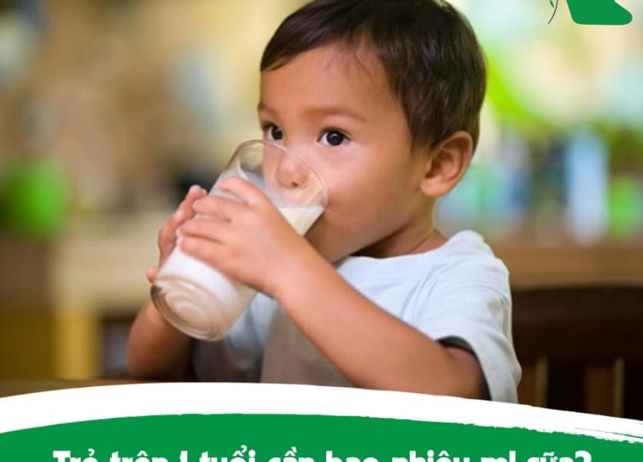 Trẻ trên 1 tuổi cần bao nhiêu ml sữa mỗi ngày?