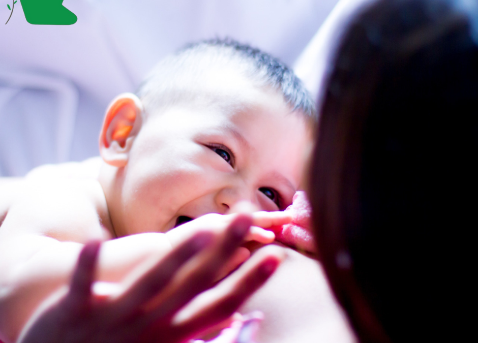 Dinh dưỡng để đủ sữa, sữa tốt cho con bú