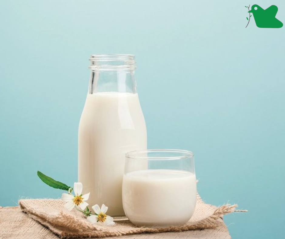 uống nhiều sữa làm tăng nguy cơ biếng ăn, còi xương, suy dinh dưỡng.