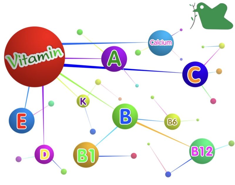 Các loại Vitamin giúp trẻ tăng cân.