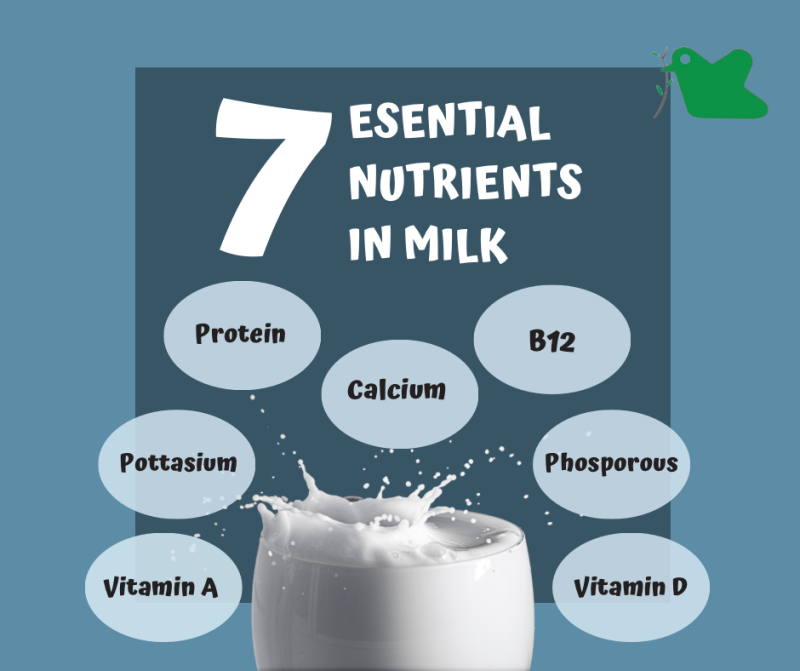 7 dưỡng chất thiết yếu có trong sữa