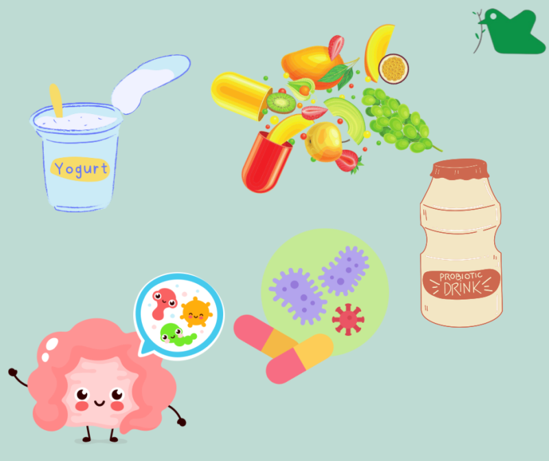 Sử dụng men vi sinh cho trẻ nhỏ