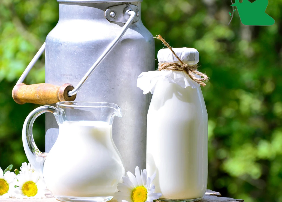 Cảnh báo tình trạng trẻ lạm dụng sữa tươi