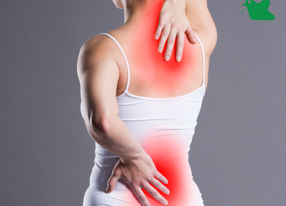 Phòng ngừa loãng xương ở phụ nữ sau sinh.
