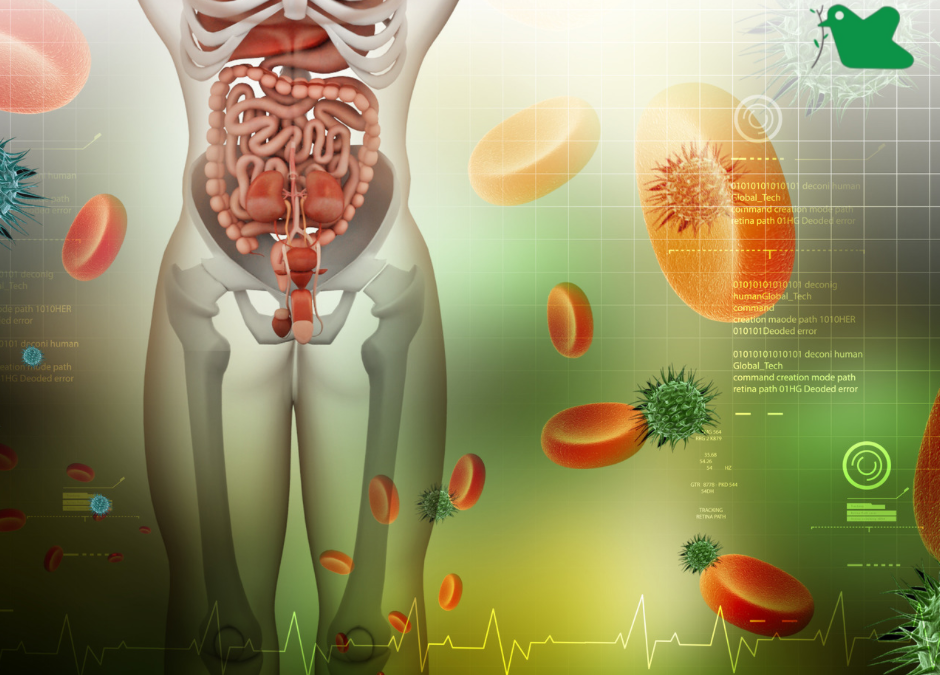 Làm gì để phòng ngừa rối loạn tiêu hoá