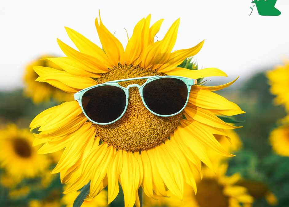 Đề phòng các bệnh nắng nóng mùa hè cho trẻ.