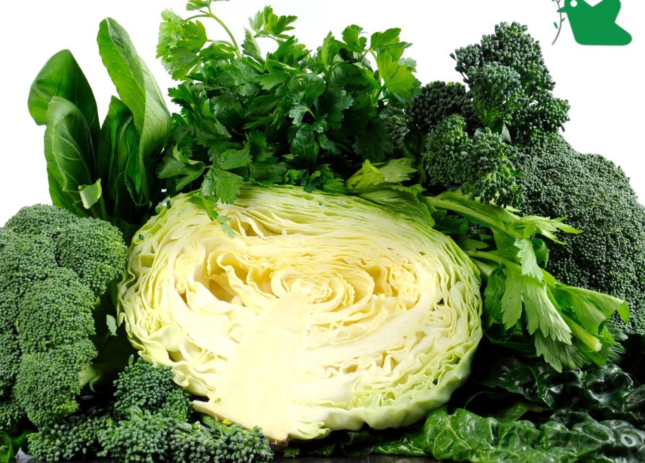 5 loại rau đặc biệt chống lão hoá