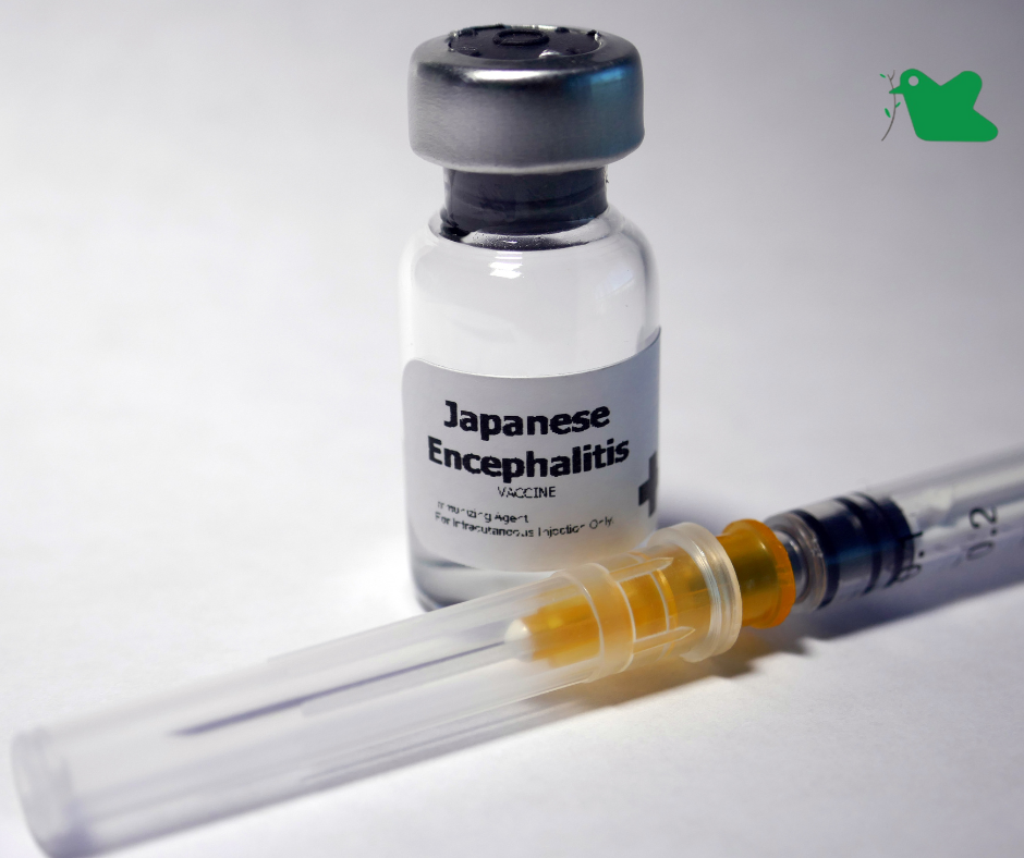 Vaccine phòng chống bệnh viêm não nhật bản