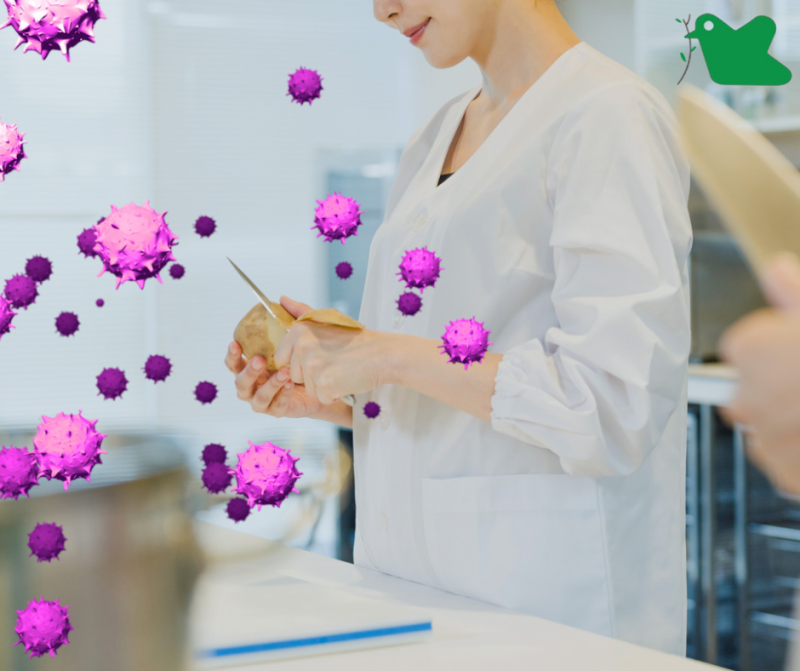 Vi khuẩn tồn tại khắp mọi nơi.