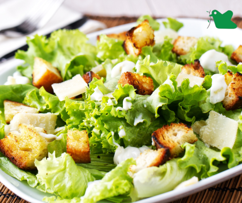 Xà lách là một trong những loại rau sống quen thuộc đối với các gia đình.