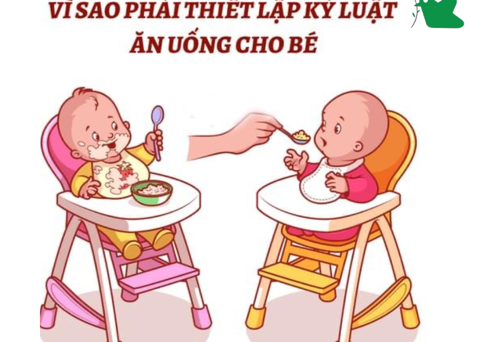 Thiết lập kỷ luật ăn uống cho trẻ từ sớm
