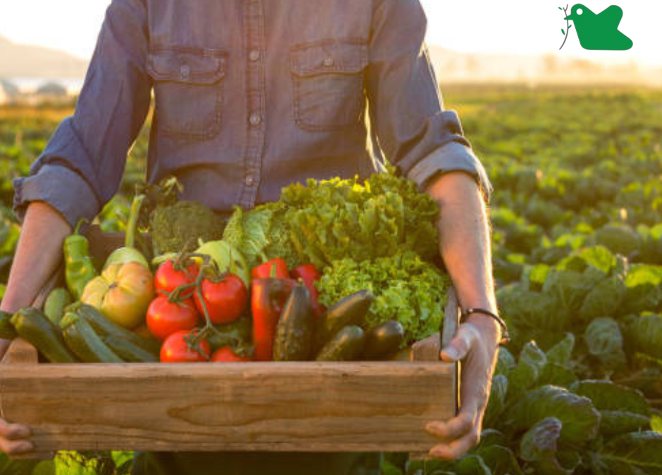 Chế độ ăn kiểu Địa Trung Hải, nhấn mạnh thực phẩm dựa trên thực vật