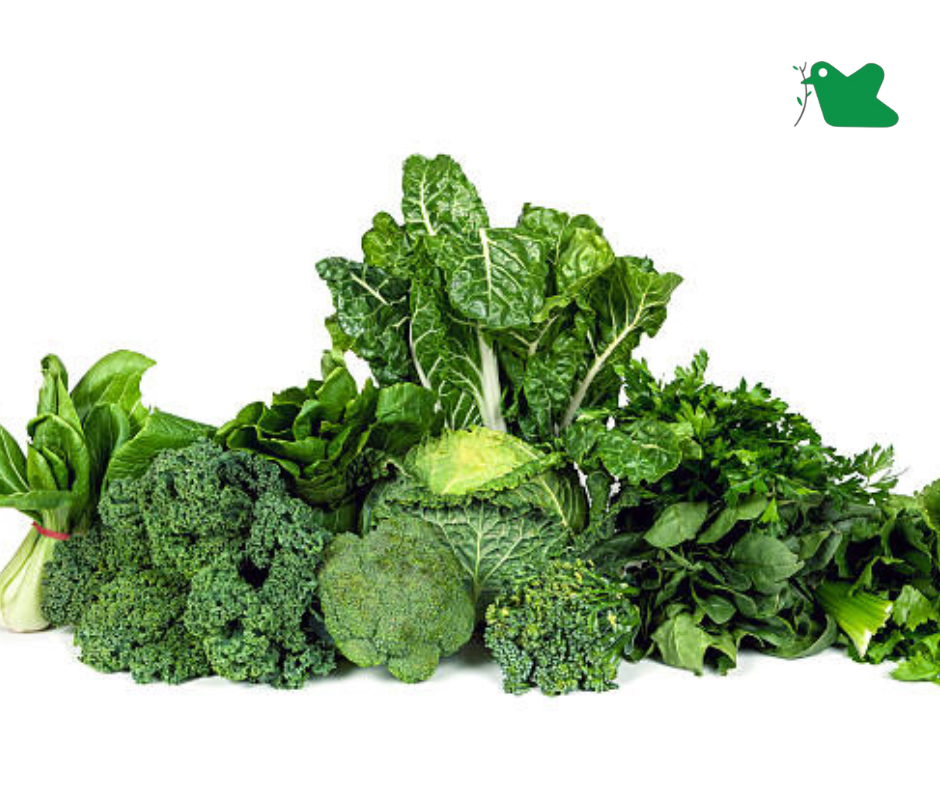 Thực phẩm giúp cơ thể sản sinh collagen.