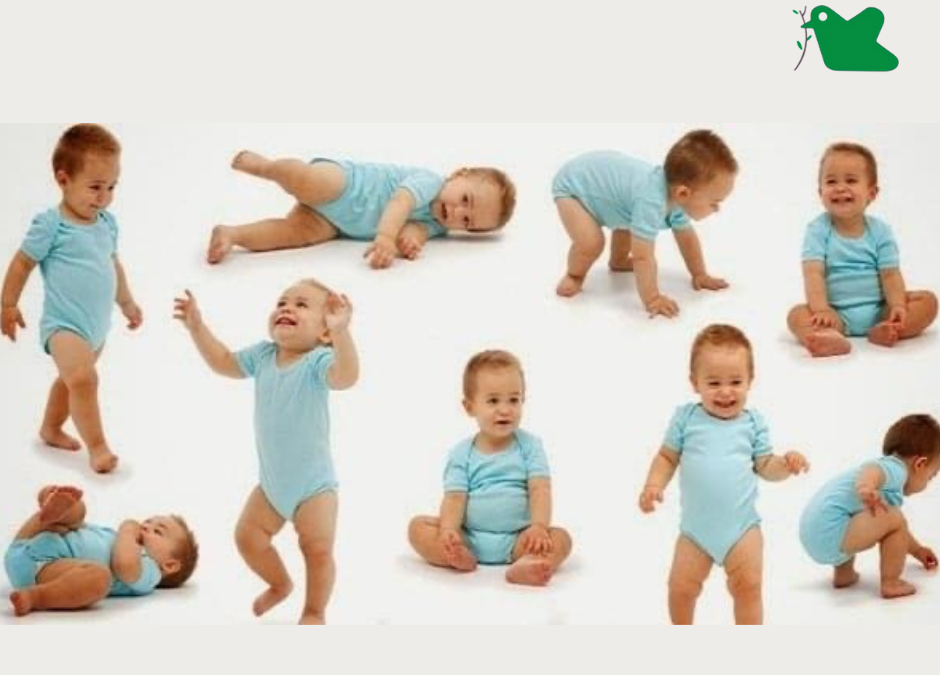 Mốc phát triển bình thường của trẻ.