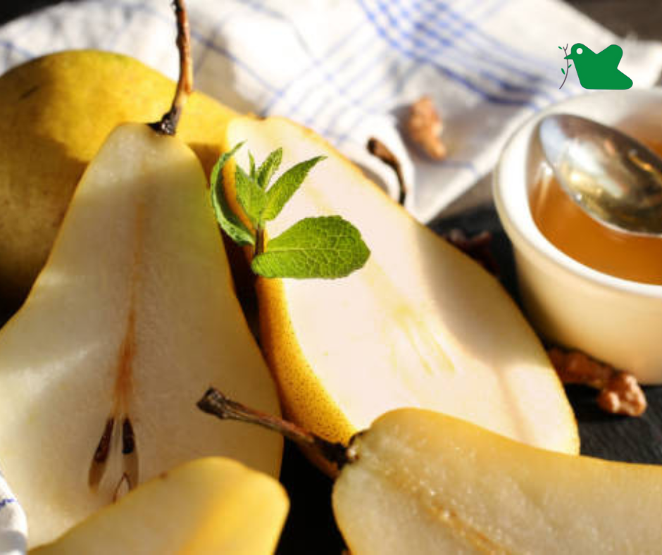 Thuốc ho từ quả lê.