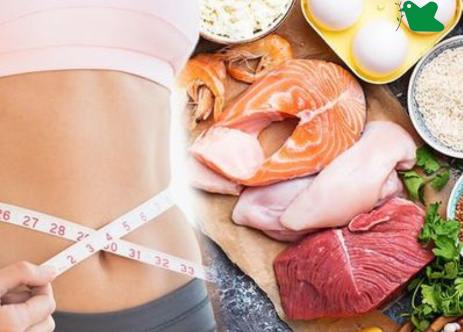 Ăn bao nhiêu protein để giảm cân.