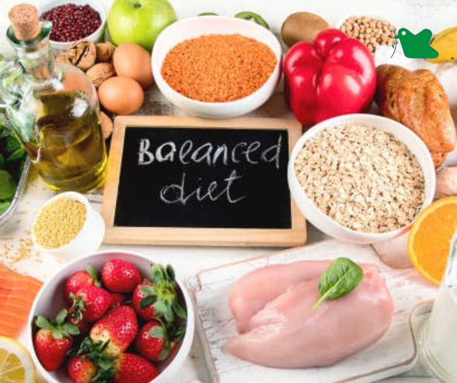 Protein trong ăn kiêng