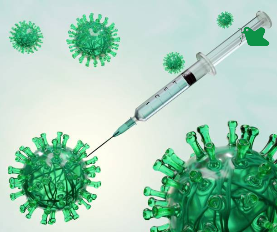 Tiêm vắc xin phòng cúm.