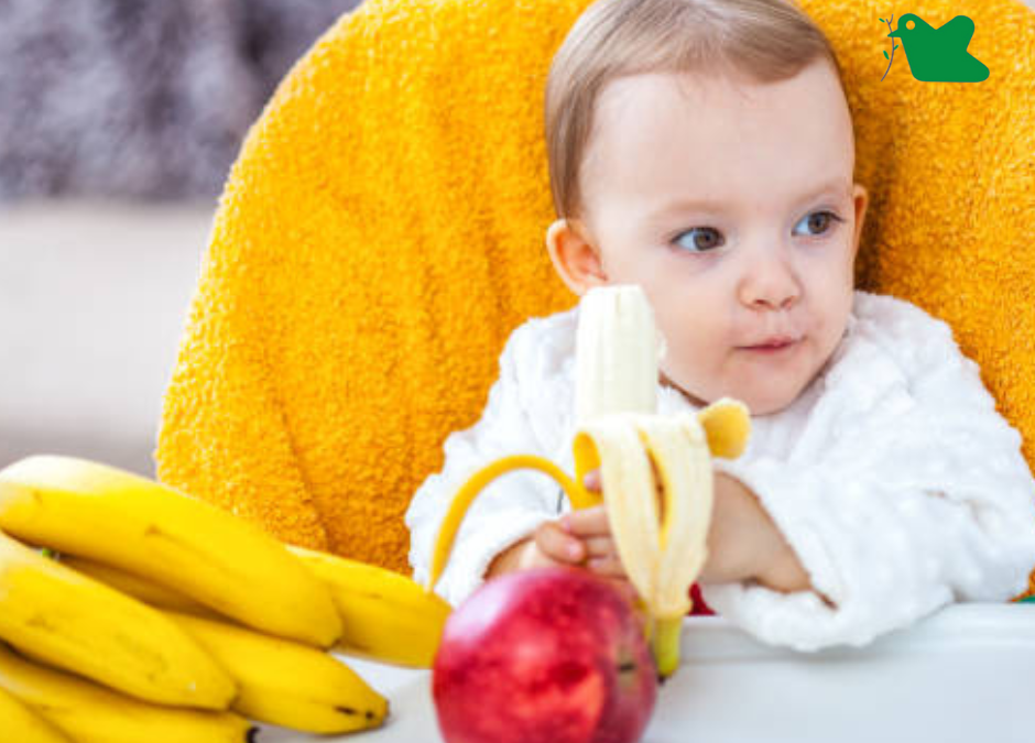 Cho trẻ ăn dặm với trái cây.