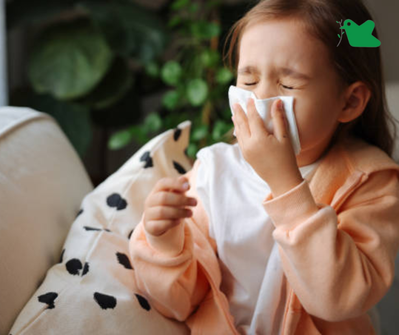 Cách giúp giảm triệu chứng thở khò khè.