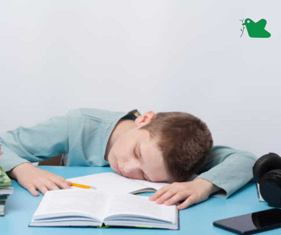 Tác hại của việc sử dụng điện thoại trước khi ngủ