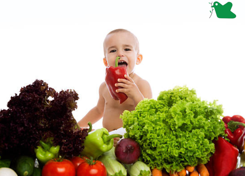 Chế độ ăn nhiều trái cây và rau củ có thể giảm nguy cơ phát triển hen suyễn