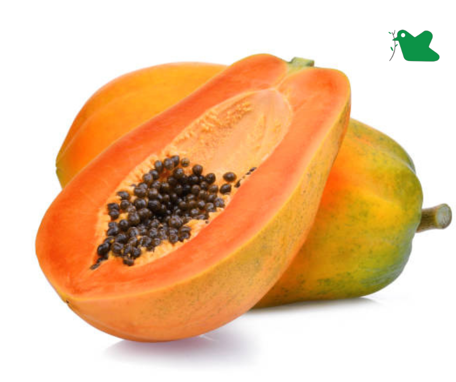 Tác dụng của đu đủ với hệ tiêu hoá.