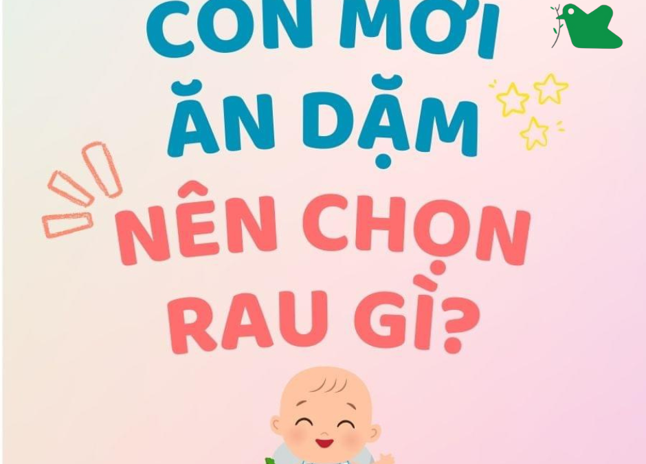 Rau cho bé mới ăn dặm.