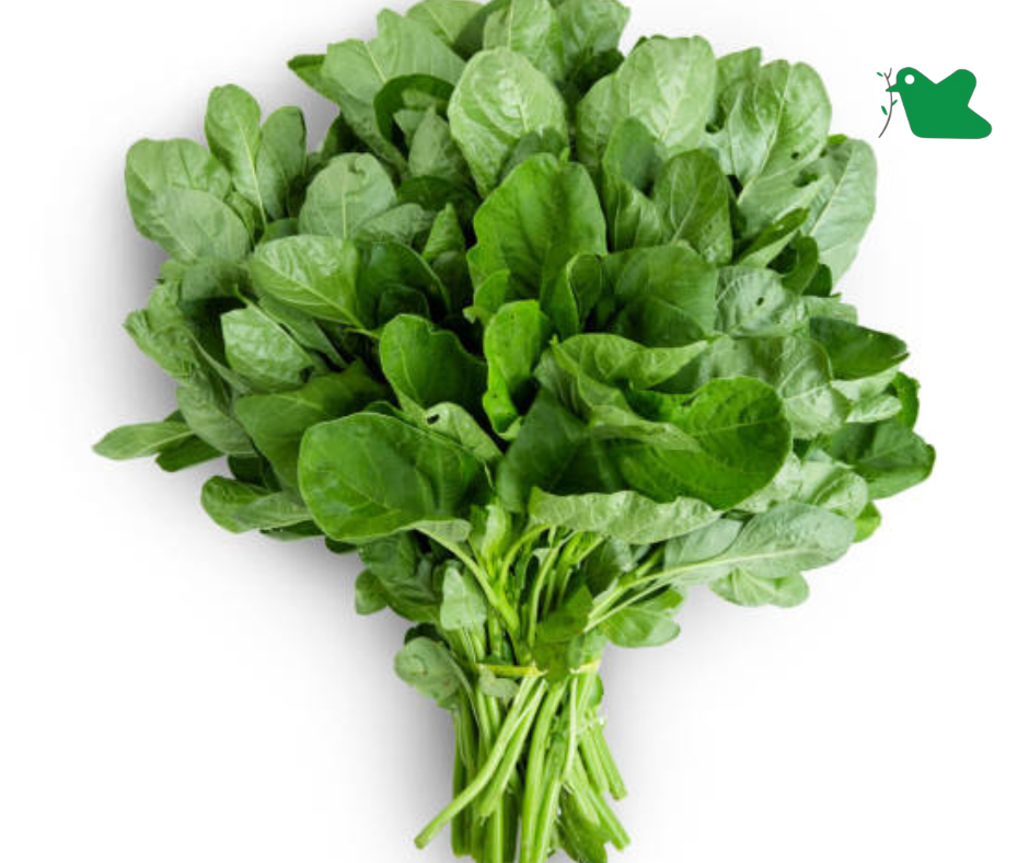 Rau cho bé mới ăn dặm.