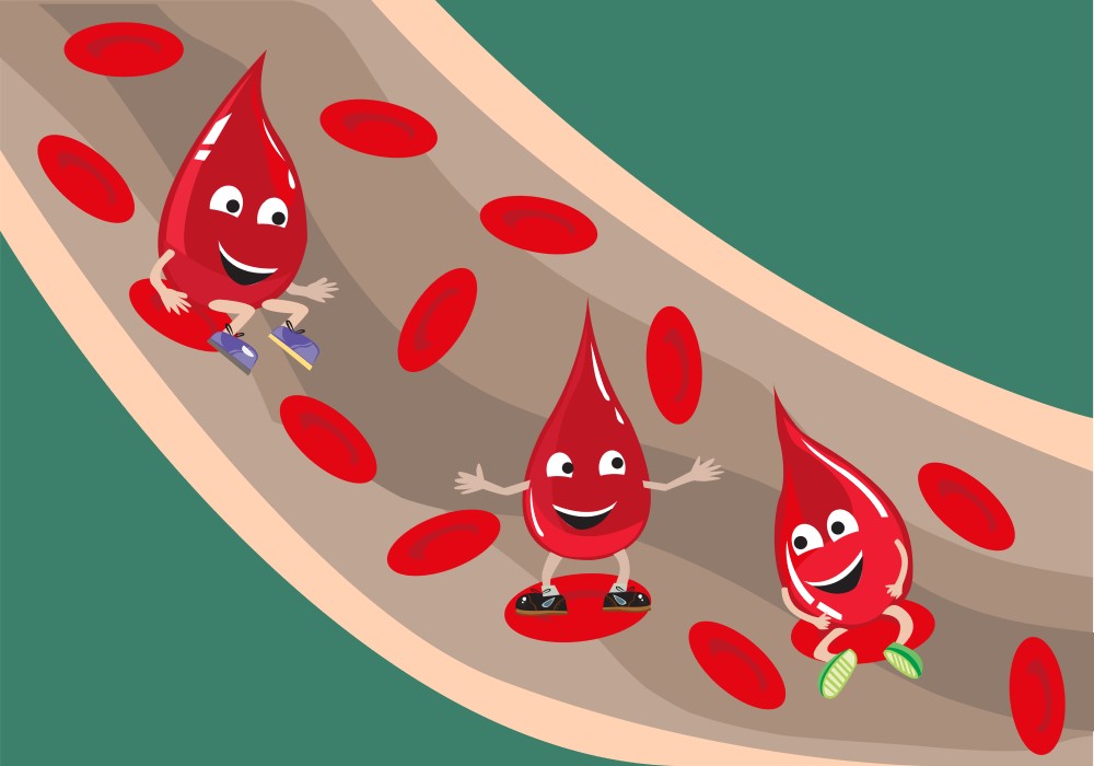 Sắt và kẽm đóng vai trò vô cùng quan trọng trong hệ miễn dịch