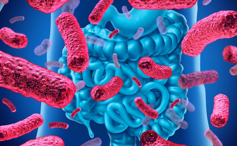 Men vi sinh, hay còn gọi là probiotics, là các vi khuẩn có lợi cho sức khỏe